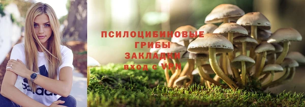 spice Алексеевка
