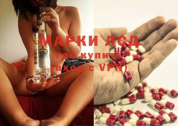 spice Алексеевка