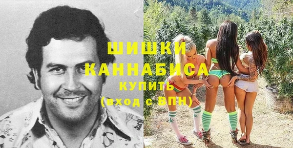 прущие грибы Алексин