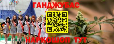 гашик Будённовск