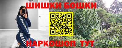 гашик Будённовск