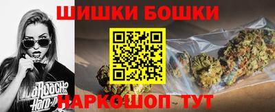 гашик Будённовск