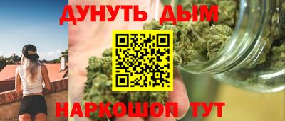 гашик Будённовск