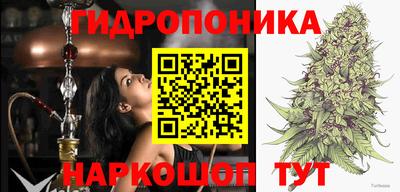 стафф Бугуруслан