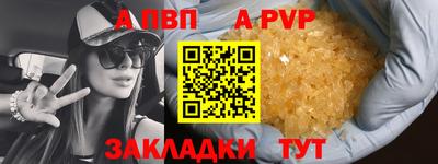 гашик Будённовск