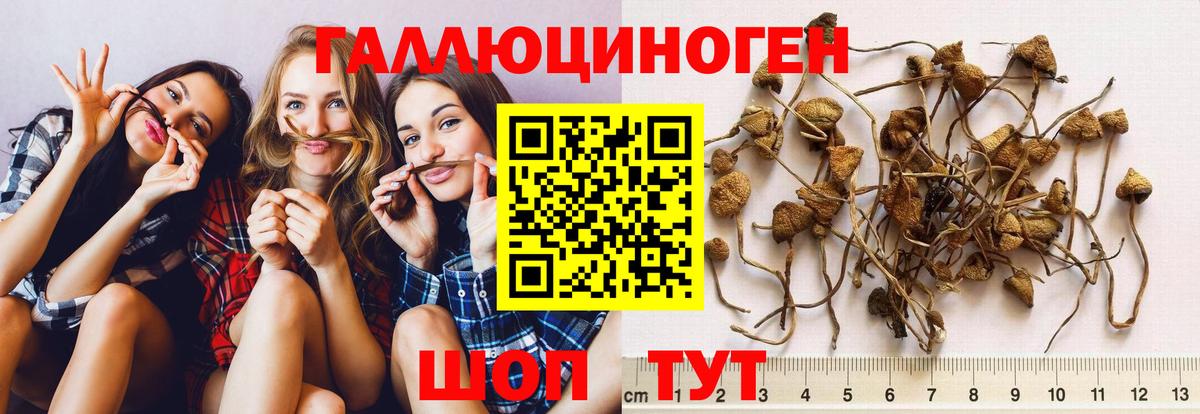Псилоцибиновые грибы ЛСД Йошкар-Ола